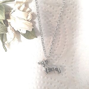 Silver Dog Doxie Dachshund  Necklace Crystal Paw 18"-22" Adjustible Chain NEW